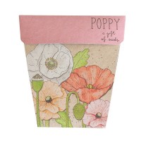 Sow 'N Sow Gift of Seeds Poppy  