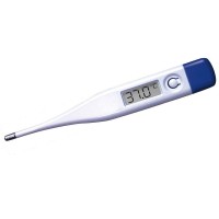 Ecomed Digital Thermometer  
