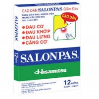 Salonpas Pain Relieving Patches 6.5x4.2cm 12pk 
